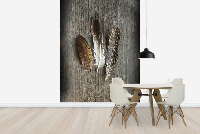 PHOTOWALL / Feathers on Wood II (e25891)