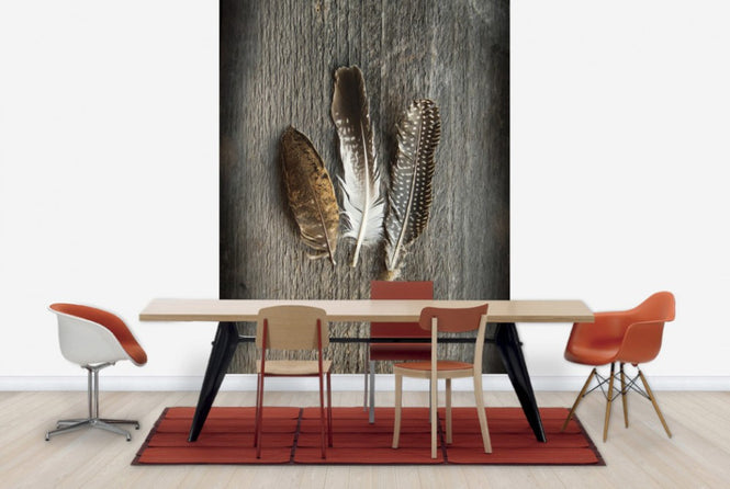 PHOTOWALL / Feathers on Wood II (e25891)