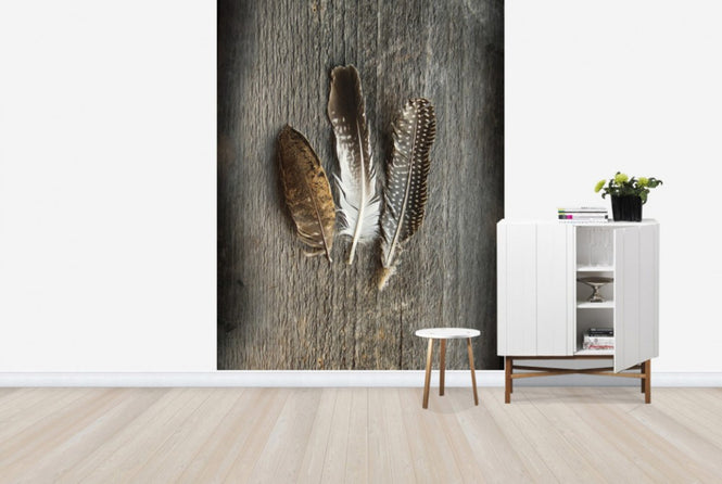 PHOTOWALL / Feathers on Wood II (e25891)