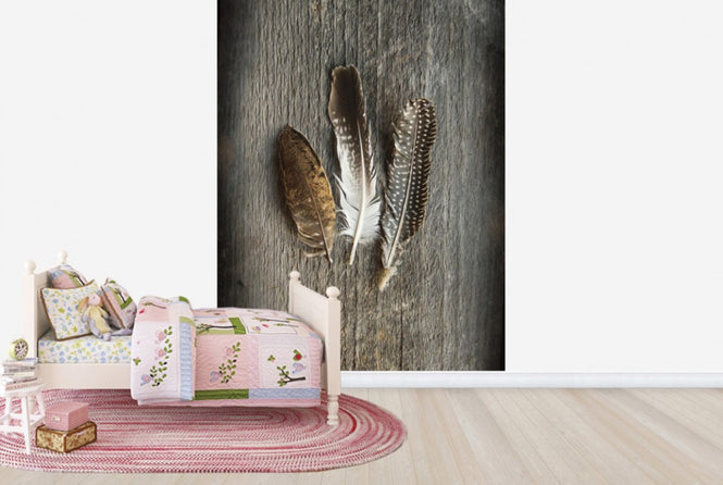PHOTOWALL / Feathers on Wood II (e25891)