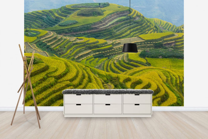 PHOTOWALL / Guilin in Sichuan, China (e29987)