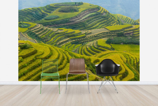 PHOTOWALL / Guilin in Sichuan, China (e29987)