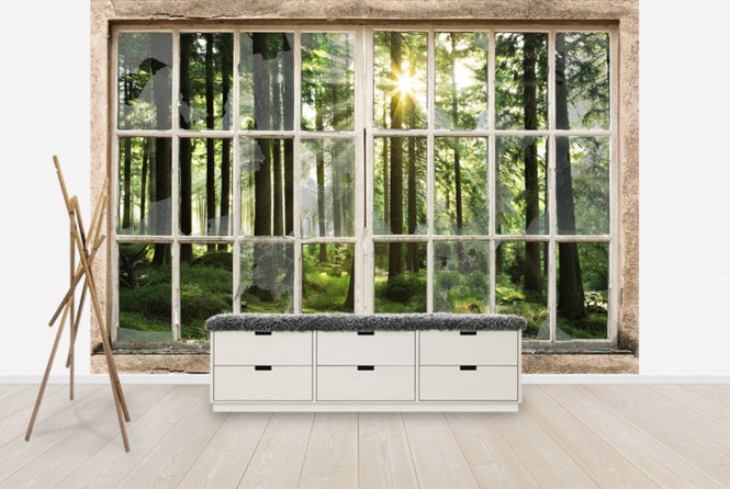 PHOTOWALL / Sunset in Forest Through Broooken Window (e30160)