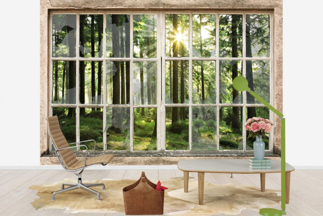PHOTOWALL / Sunset in Forest Through Broooken Window (e30160)
