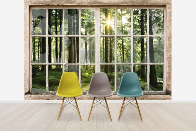 PHOTOWALL / Sunset in Forest Through Broooken Window (e30160)