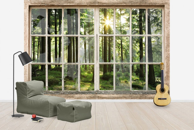 PHOTOWALL / Sunset in Forest Through Broooken Window (e30160)