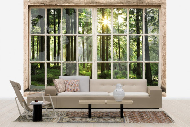 PHOTOWALL / Sunset in Forest Through Broooken Window (e30160)