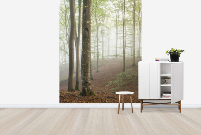 PHOTOWALL / Swedish Beech Forest I (e40487)
