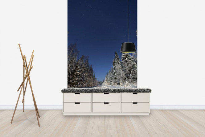PHOTOWALL / Winter Landscape in Mora, Sweden (e40511)