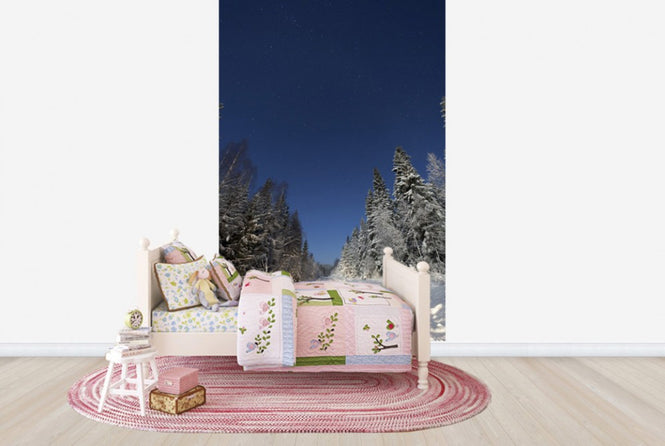 PHOTOWALL / Winter Landscape in Mora, Sweden (e40511)
