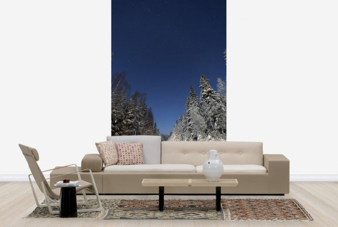 PHOTOWALL / Winter Landscape in Mora, Sweden (e40511)
