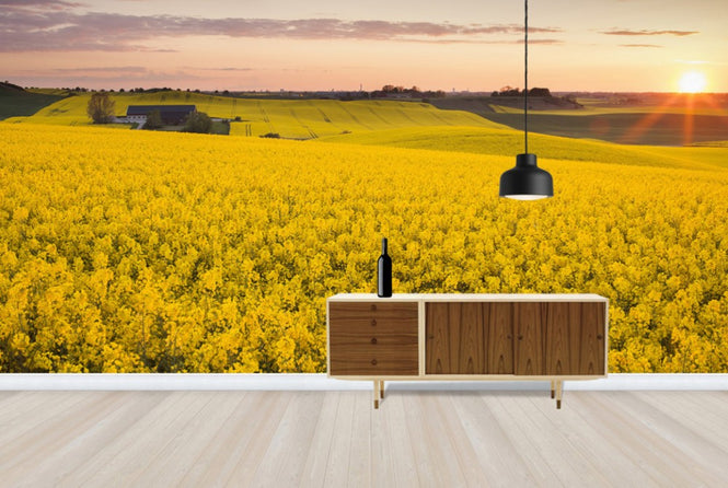 PHOTOWALL / Fields of Klågerup, Sweden (e40515)
