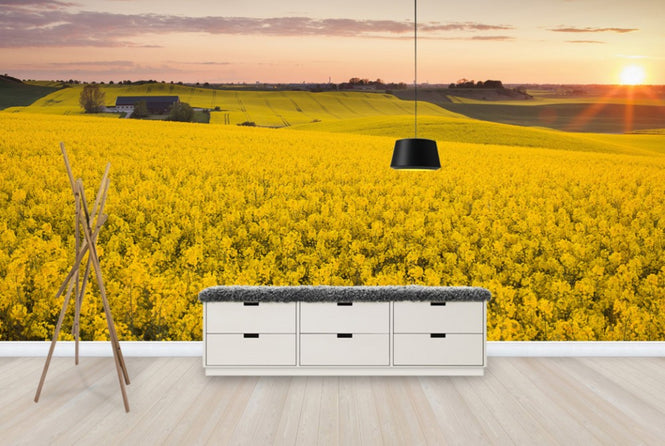 PHOTOWALL / Fields of Klågerup, Sweden (e40515)
