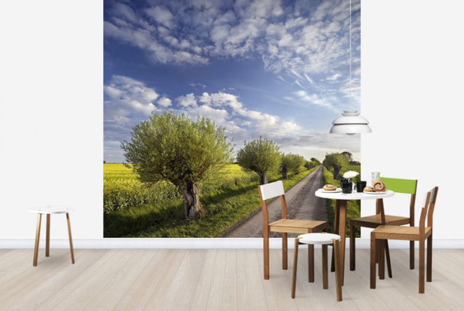 PHOTOWALL / Willow in Skane, Sweden (e40564)