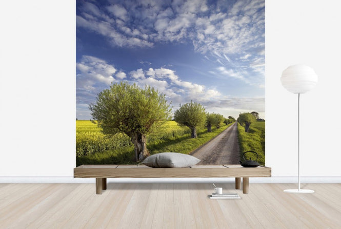 PHOTOWALL / Willow in Skane, Sweden (e40564)