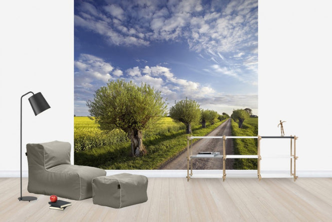 PHOTOWALL / Willow in Skane, Sweden (e40564)