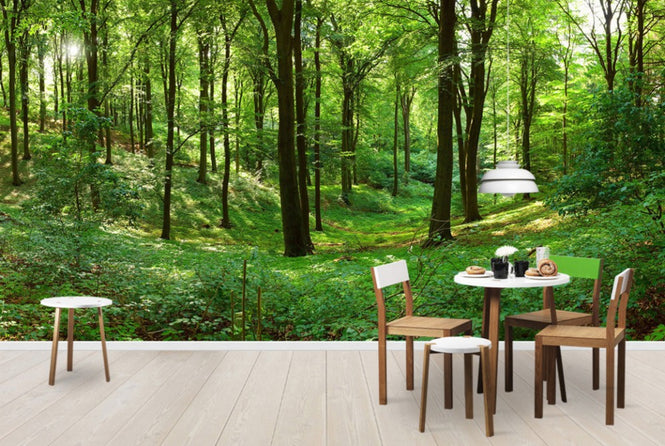 PHOTOWALL / Panorama forest (e40014)