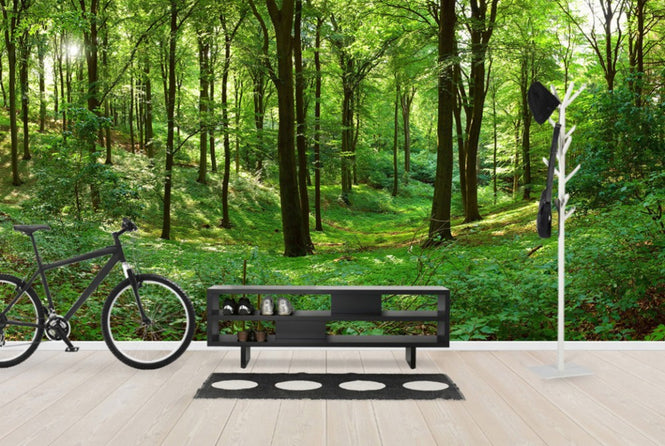 PHOTOWALL / Panorama forest (e40014)