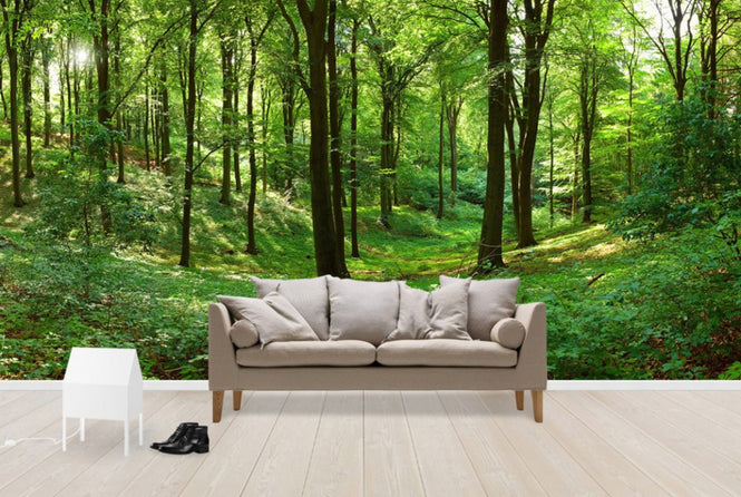 PHOTOWALL / Panorama forest (e40014)