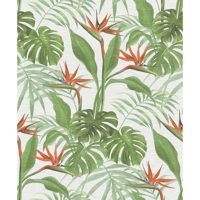 rasch ラッシュ / 529029 (Mandalay)