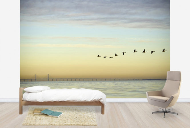 PHOTOWALL / Flock of Birds (e40621)