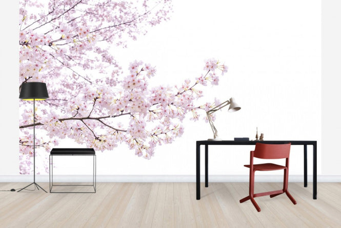PHOTOWALL / Divine Cherry Blossoms (e40595)