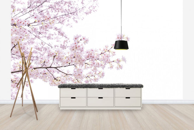 PHOTOWALL / Divine Cherry Blossoms (e40595)