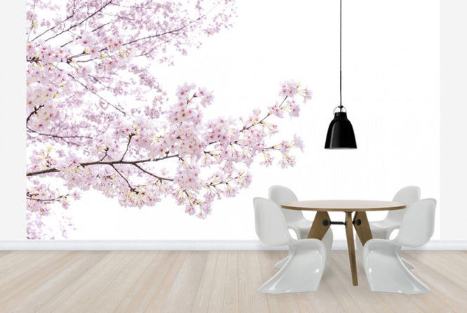 PHOTOWALL / Divine Cherry Blossoms (e40595)