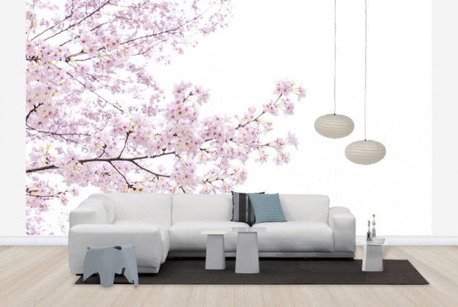 PHOTOWALL / Divine Cherry Blossoms (e40595)