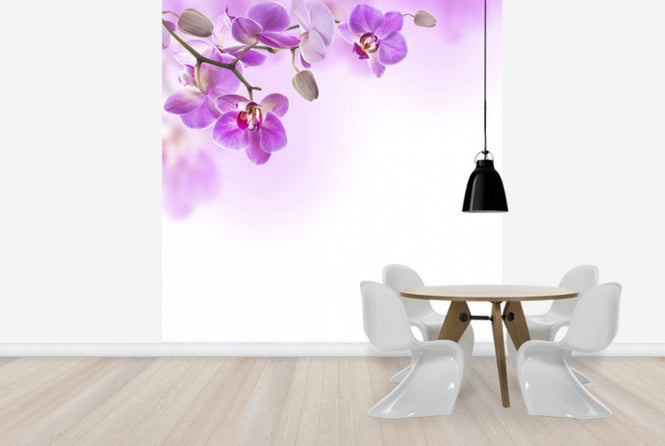 PHOTOWALL / Tropical Fuchsia Orchids (e40612)