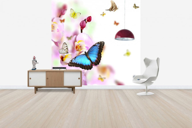 PHOTOWALL / Butterflies and Orchid Blossoms (e40689)