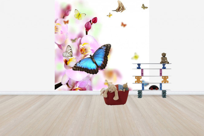 PHOTOWALL / Butterflies and Orchid Blossoms (e40689)