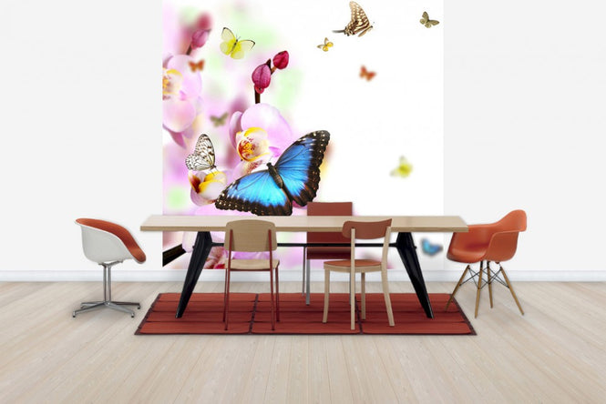 PHOTOWALL / Butterflies and Orchid Blossoms (e40689)