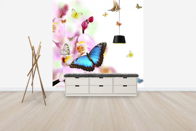 PHOTOWALL / Butterflies and Orchid Blossoms (e40689)