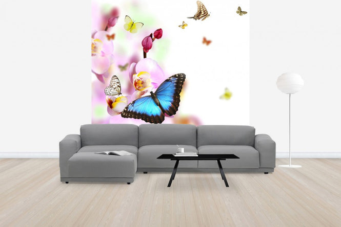 PHOTOWALL / Butterflies and Orchid Blossoms (e40689)