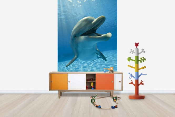 PHOTOWALL / Encounter with Dolphin (e40705)