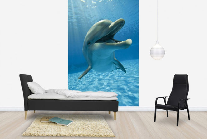PHOTOWALL / Encounter with Dolphin (e40705)