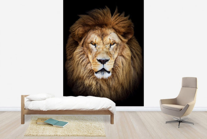 PHOTOWALL / Majestic Lion (e40709)