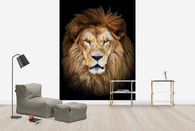 PHOTOWALL / Majestic Lion (e40709)