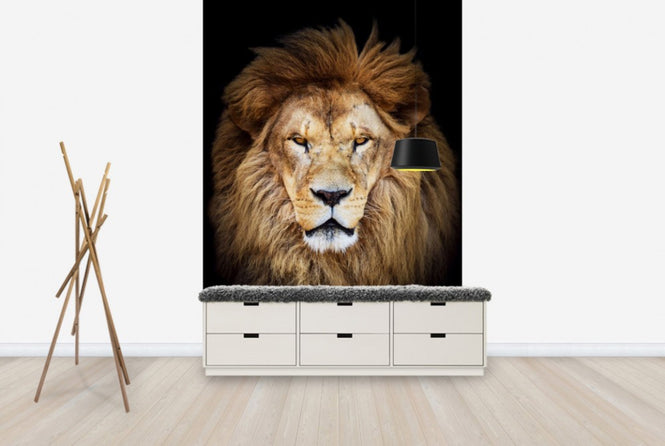 PHOTOWALL / Majestic Lion (e40709)