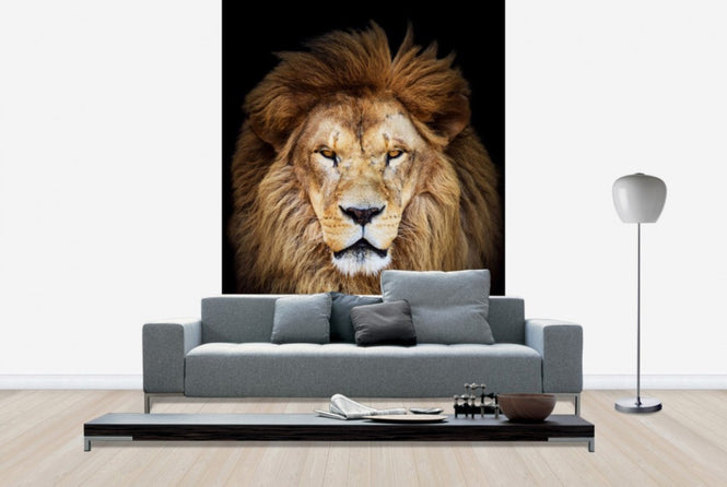 PHOTOWALL / Majestic Lion (e40709)
