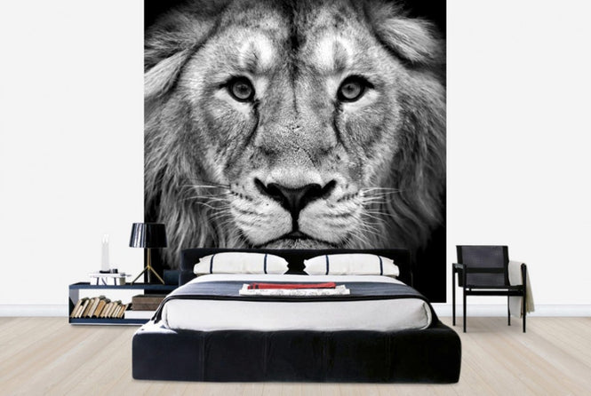 PHOTOWALL / Wise Lion (e40711)