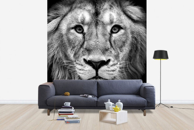 PHOTOWALL / Wise Lion (e40711)