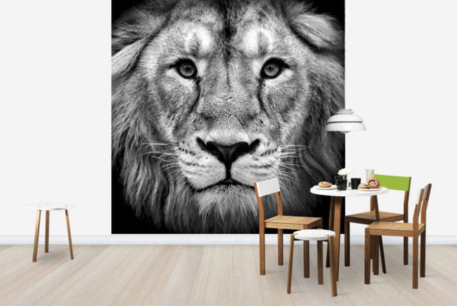 PHOTOWALL / Wise Lion (e40711)