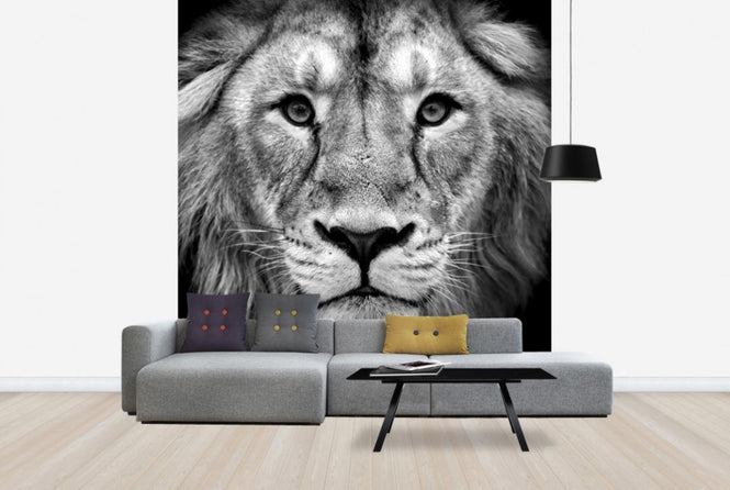 PHOTOWALL / Wise Lion (e40711)