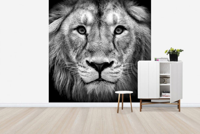 PHOTOWALL / Wise Lion (e40711)