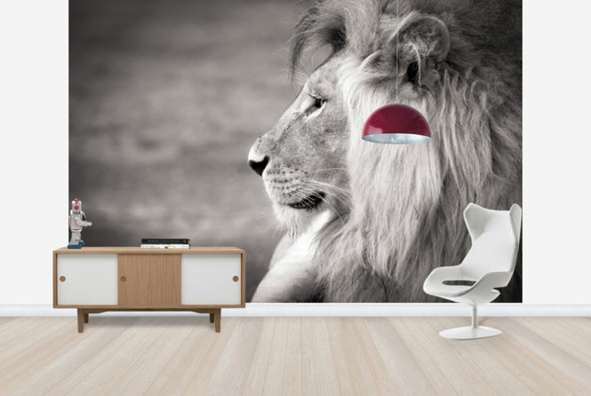 PHOTOWALL / Portrait of a Predator (e40712)