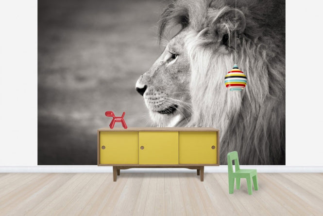 PHOTOWALL / Portrait of a Predator (e40712)