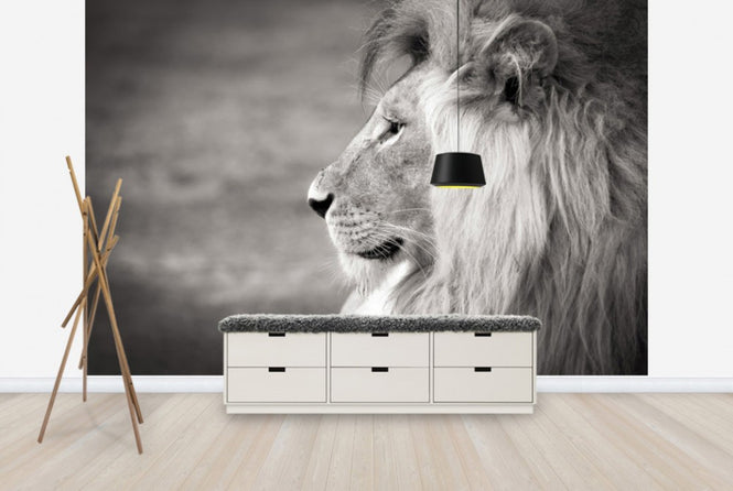 PHOTOWALL / Portrait of a Predator (e40712)