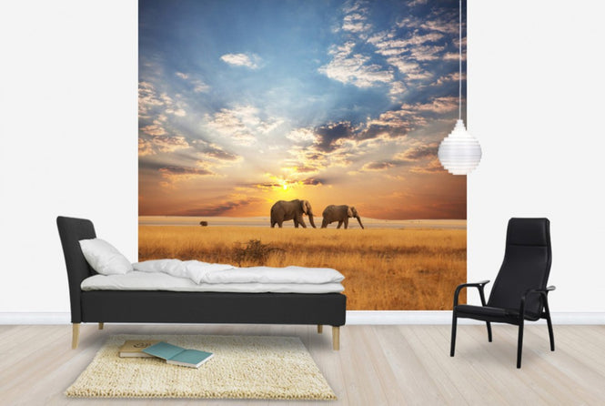 PHOTOWALL / Savannah Sunset (e40713)
